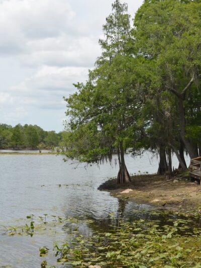 Riverside Park - Temple Terrace, FL