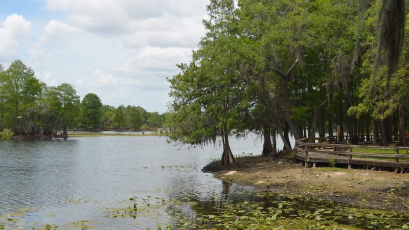 Riverside Park - Temple Terrace, FL