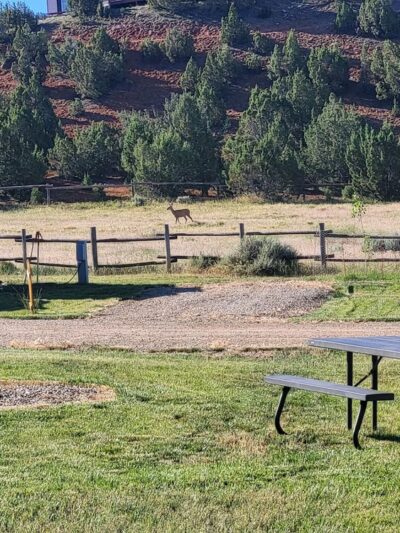 Hideyhole RV Campground - Ten Sleep, WY