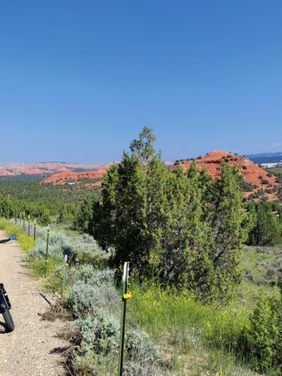 Hideyhole RV Campground - Ten Sleep, WY