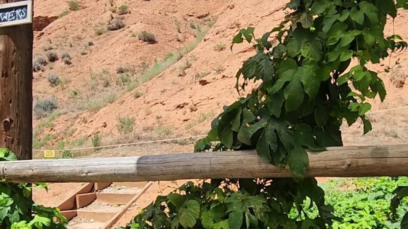 Ten Sleep Brewing Co - Ten Sleep, WY