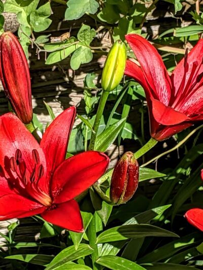 Vista Park - Ten Sleep, WY