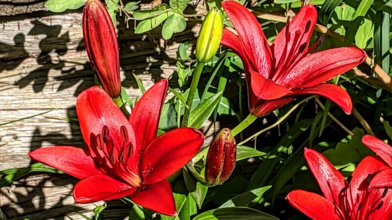 Vista Park - Ten Sleep, WY