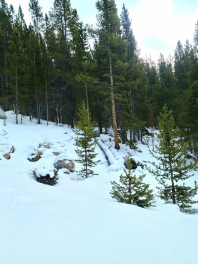 Willow Park Campground - Ten Sleep, WY