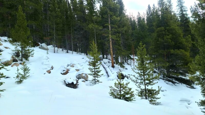 Willow Park Campground - Ten Sleep, WY