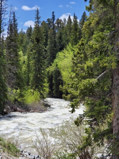 Willow Park Campground - Ten Sleep, WY