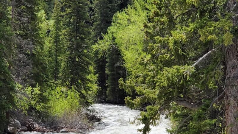 Willow Park Campground - Ten Sleep, WY