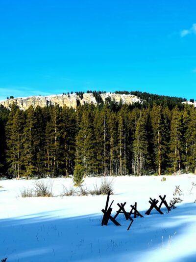 Willow Park Campground - Ten Sleep, WY