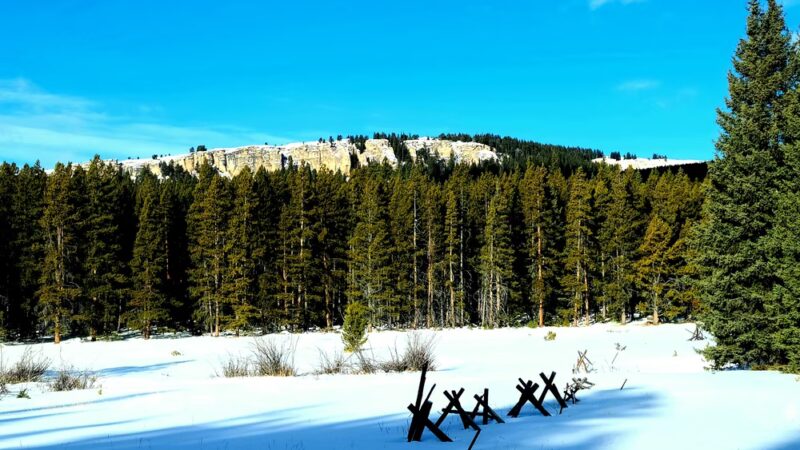 Willow Park Campground - Ten Sleep, WY