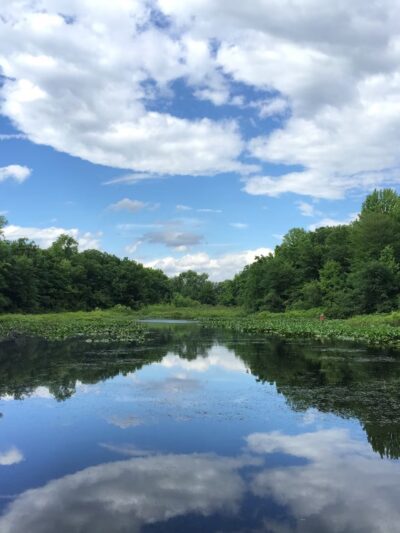 Tenafly Nature Center - Tenafly, NJ