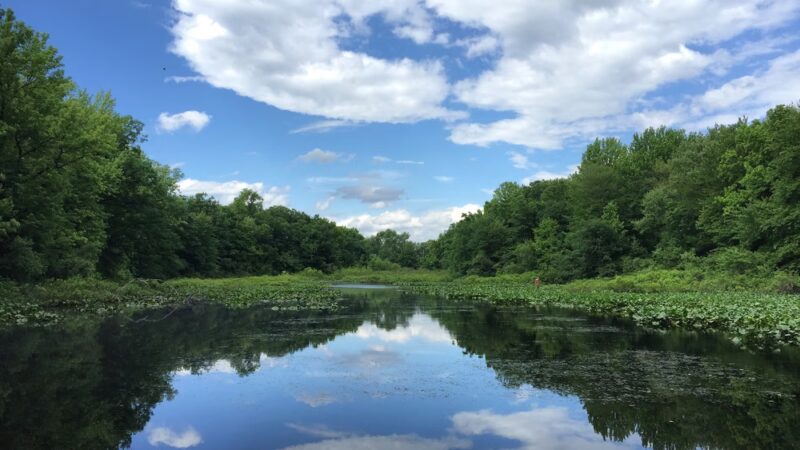 Tenafly Nature Center - Tenafly, NJ