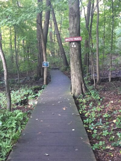 Tenafly Nature Center - Tenafly, NJ