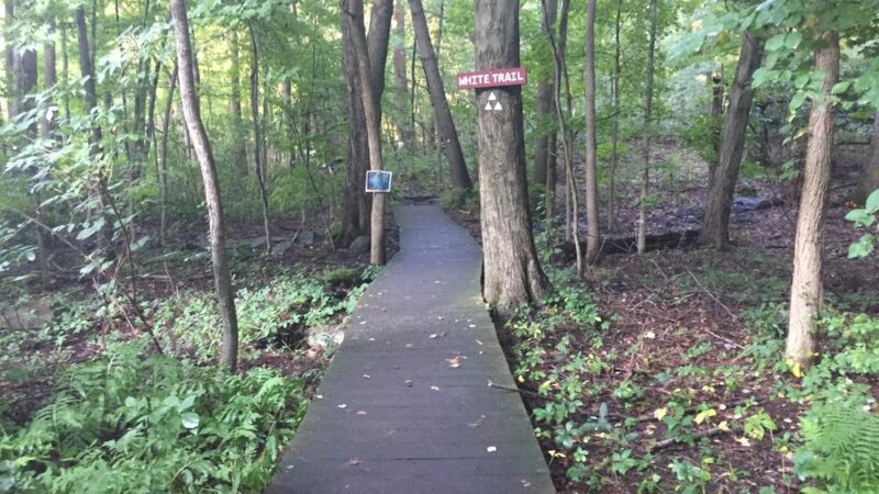 Tenafly Nature Center - Tenafly, NJ
