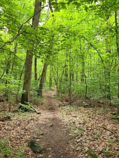 Tenafly Nature Center - Tenafly, NJ