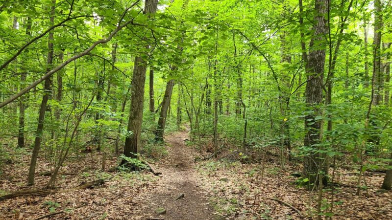 Tenafly Nature Center - Tenafly, NJ
