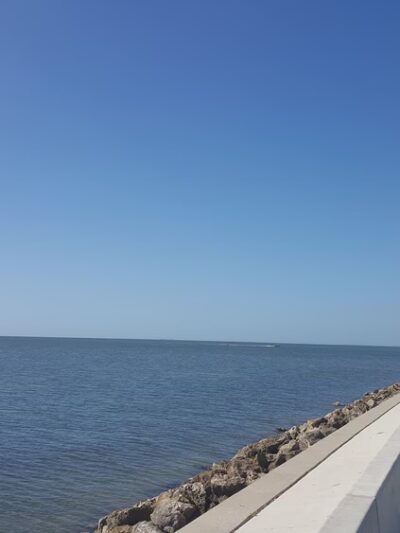 Terra Ceia Aquatic Preserve - Terra Ceia, FL