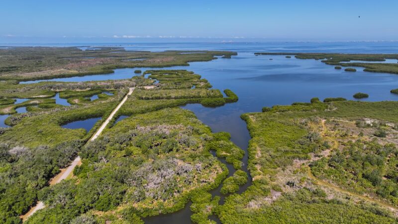 Terra Ceia Preserve State Park - Terra Ceia, FL
