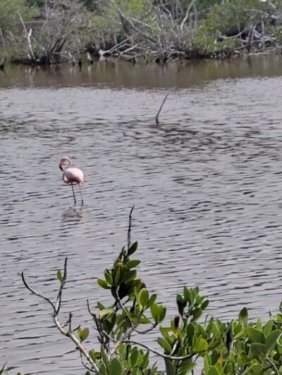 Terra Ceia Preserve State Park - Terra Ceia, FL