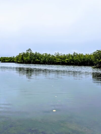 Terra Ceia Preserve State Park - Terra Ceia, FL