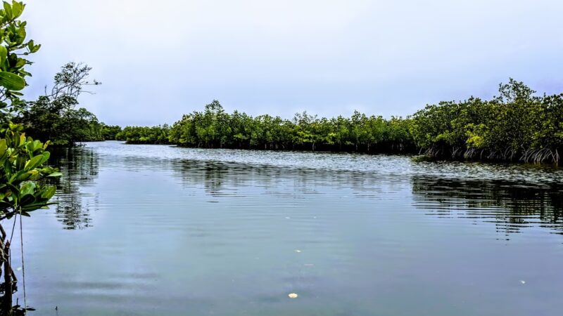 Terra Ceia Preserve State Park - Terra Ceia, FL