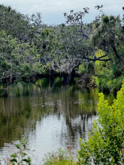 Terra Ceia Preserve State Park - Terra Ceia, FL
