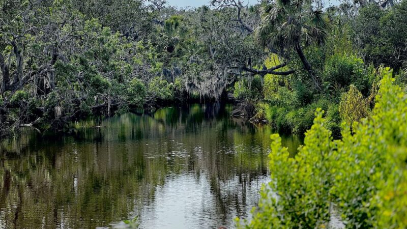 Terra Ceia Preserve State Park - Terra Ceia, FL
