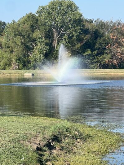 Ben Gill Park - Terrell, TX