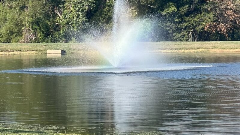 Ben Gill Park - Terrell, TX