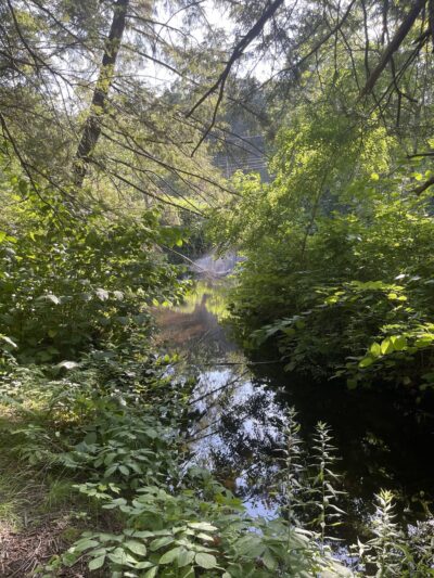 Horseshoe Falls-the Ted Knight bridge - Terryville, CT