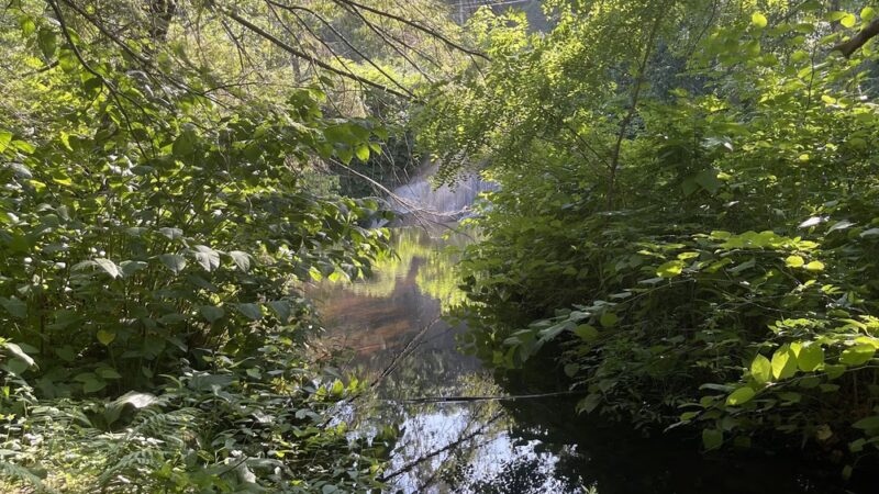 Horseshoe Falls-the Ted Knight bridge - Terryville, CT