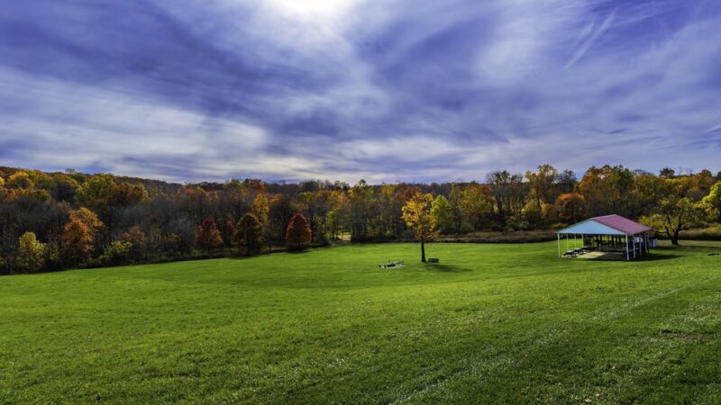 Christie Hoffman Farm Park - Tewksbury, NJ