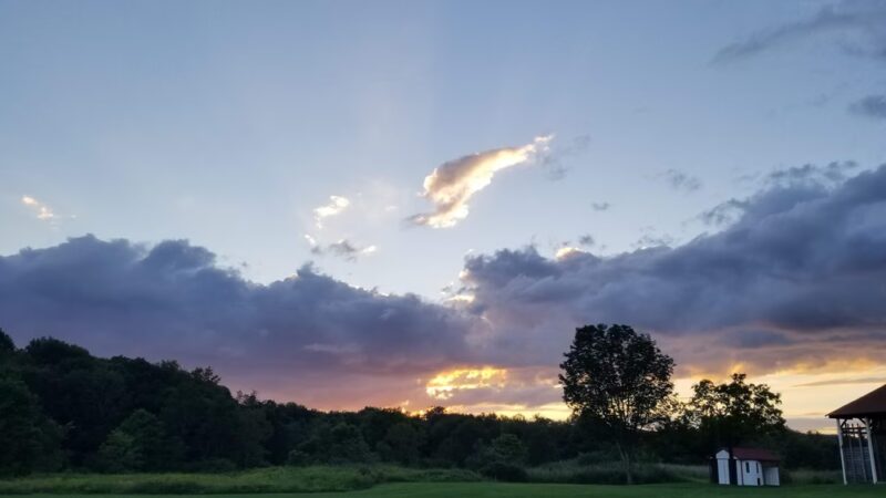 Christie Hoffman Farm Park - Tewksbury, NJ