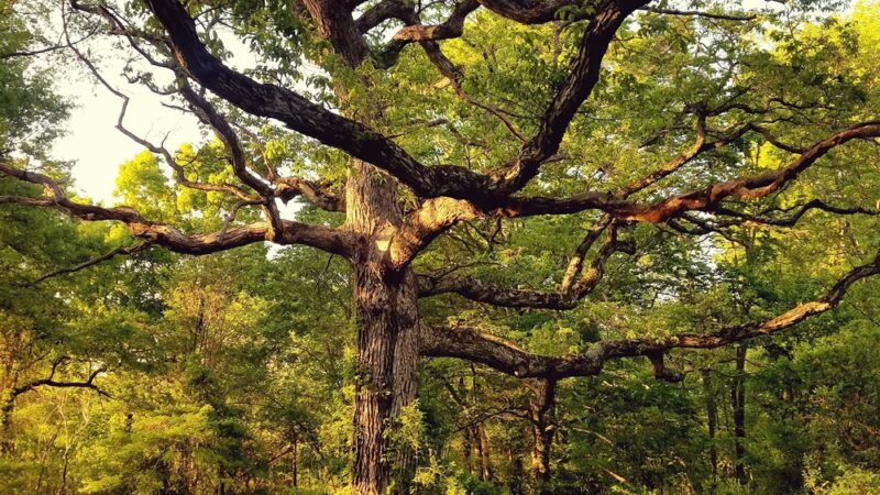 Christie Hoffman Farm Park - Tewksbury, NJ