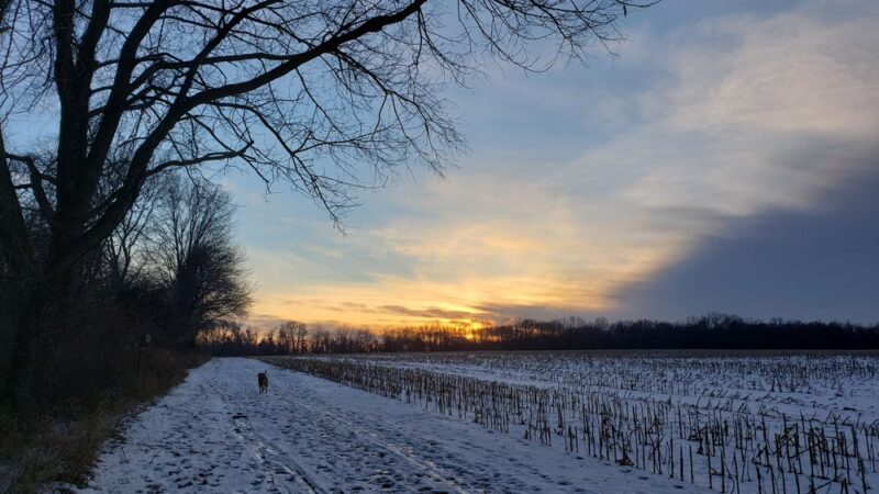 Christie Hoffman Farm Park - Tewksbury, NJ