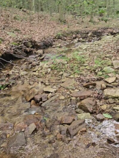 Hell Mountain Preserve - Tewksbury, NJ