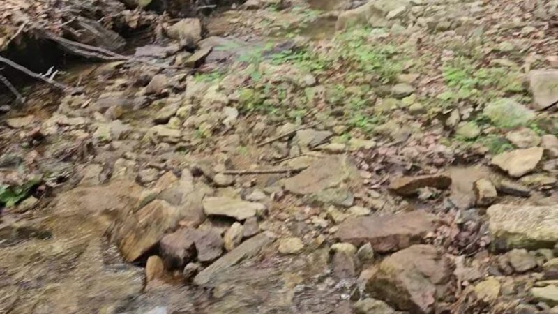 Hell Mountain Preserve - Tewksbury, NJ