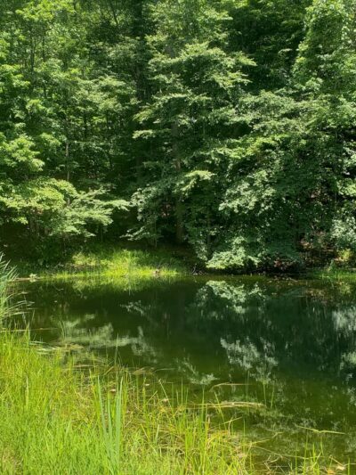 Hell Mountain Preserve - Tewksbury, NJ