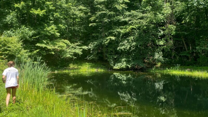 Hell Mountain Preserve - Tewksbury, NJ