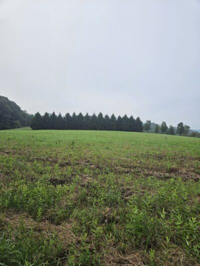 Hell Mountain Preserve - Tewksbury, NJ