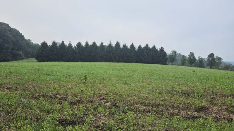 Hell Mountain Preserve - Tewksbury, NJ