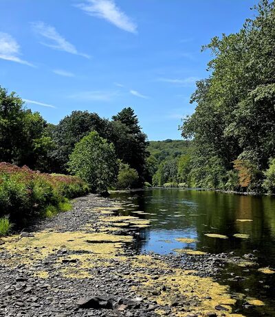 White Mills River Access Park - Texas Township, PA