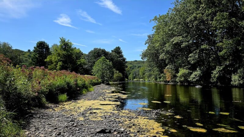 White Mills River Access Park - Texas Township, PA
