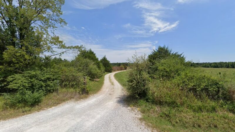 Little "q" Ranch - Thaxton, MS