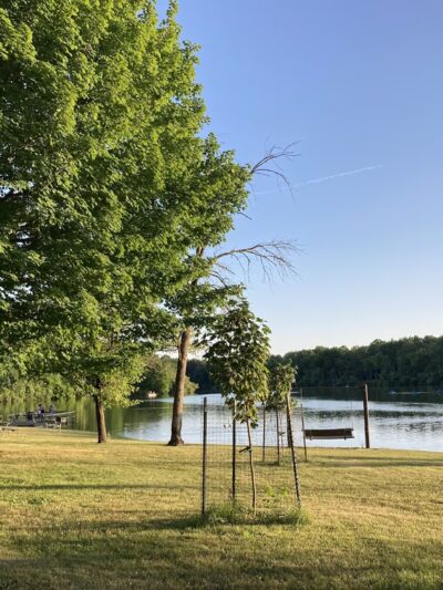 Warm fork park - Thayer, MO