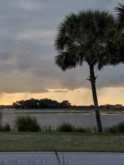 Live Oaks Park in The Villages - The Villages, FL