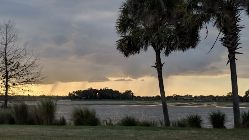 Live Oaks Park in The Villages - The Villages, FL