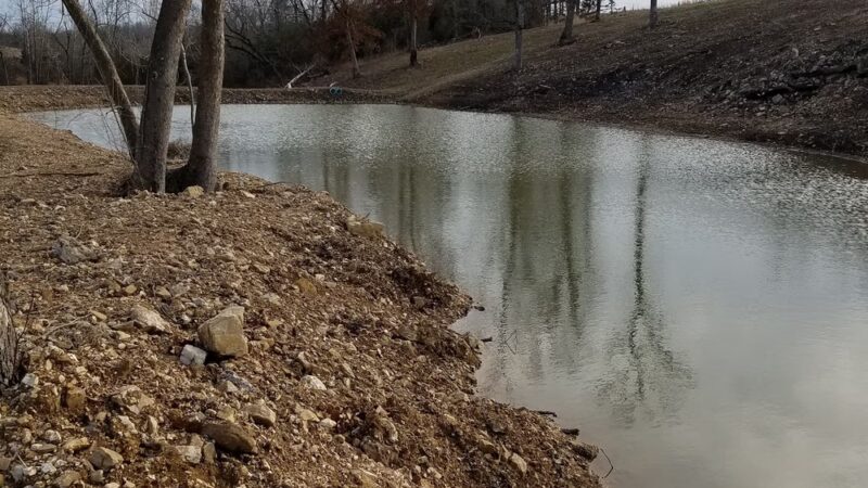 Theodosia Park - Theodosia, MO