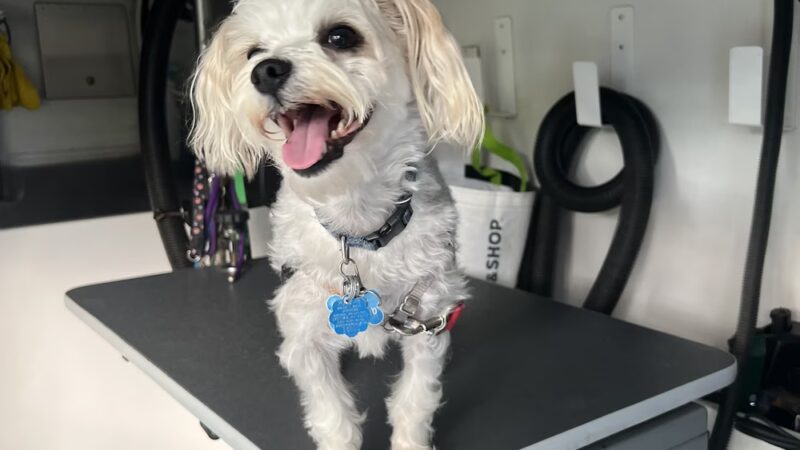 ThePawfectTouch PetSpa - ,