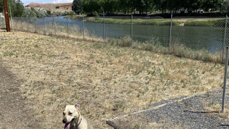 River Bend Bark Park - Thermopolis, WY