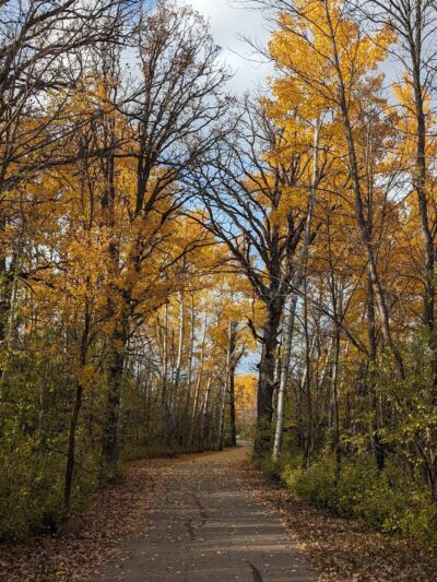 Greenwood Trails Recreation Area Park - Thief River Falls, MN